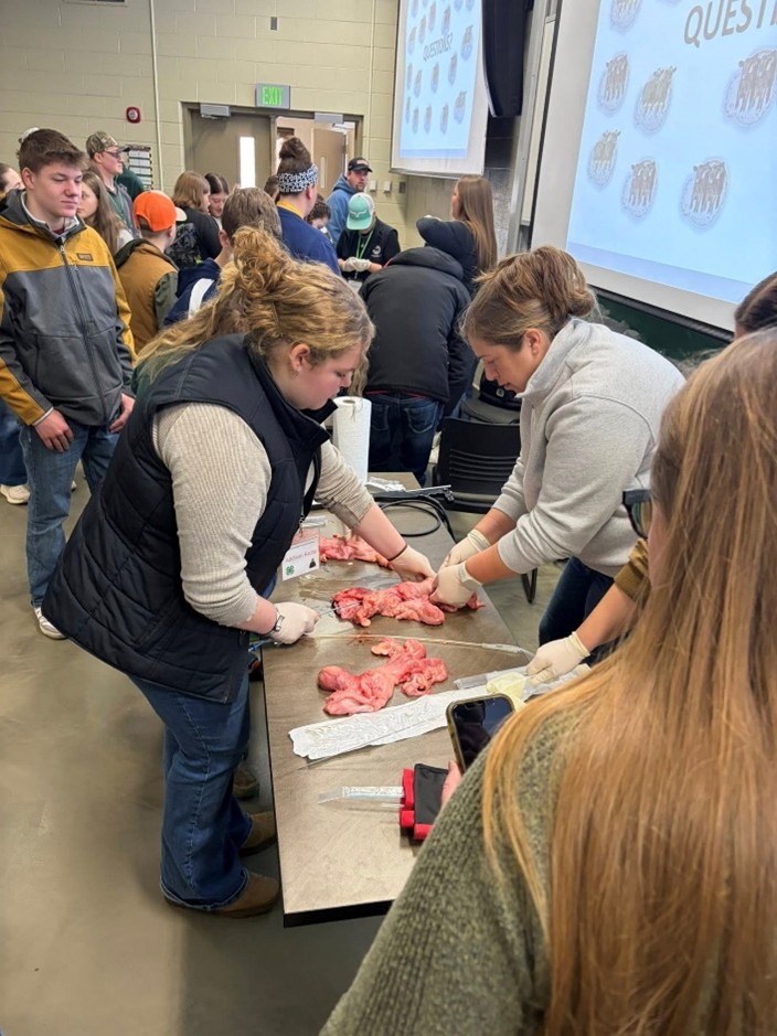 A girl and a woman standing over a table with reproductive tracts.